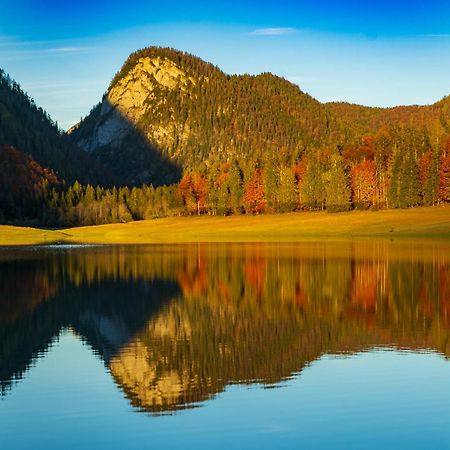 Ferienwohnungen Hollweger Inkl. Chiemgaukarte Ruhpolding Kültér fotó