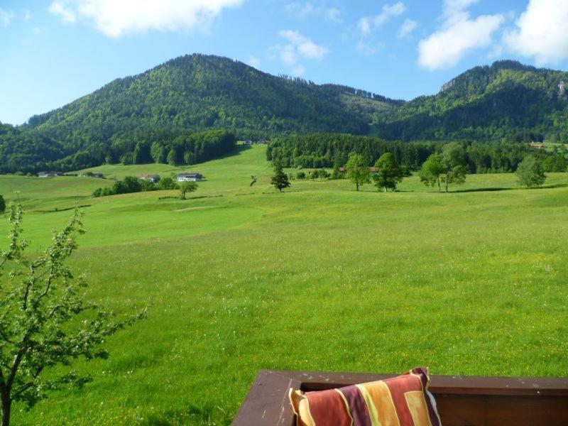 Ferienwohnungen Hollweger Inkl. Chiemgaukarte Ruhpolding Kültér fotó