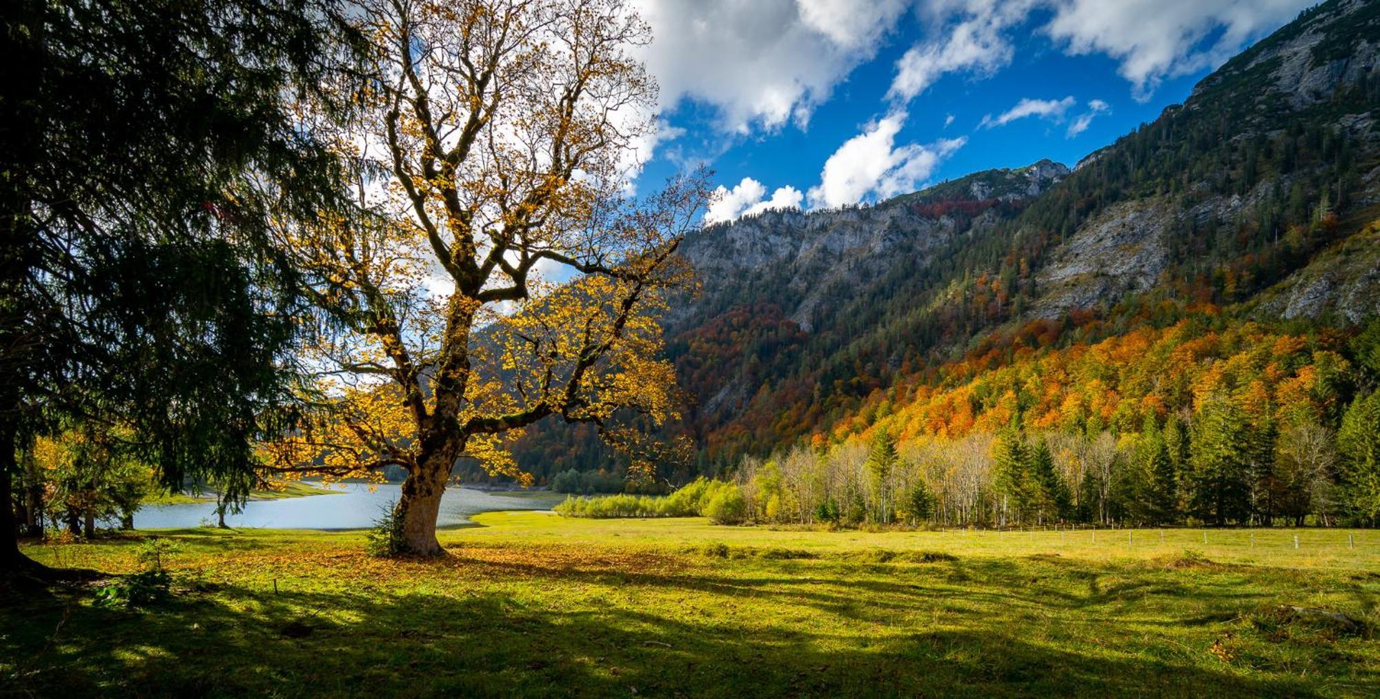 Ferienwohnungen Hollweger Inkl. Chiemgaukarte Ruhpolding Kültér fotó